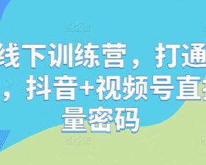 创始人IP直播线下训练营 解锁抖音视频号流量运营全链路技巧-雨叶虚拟资源网