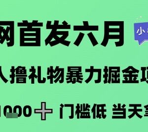 2024年6月无人直播撸音浪掘金项目 低门槛小白可做当日获收益-雨叶虚拟资源网