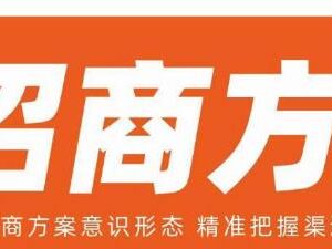 王昕招商方案体系全拆解 掌握渠道代理运营核心方法规则-雨叶虚拟资源网