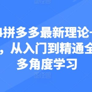 2024拼多多运营从入门到精通 全链路理论+实操干货合集-雨叶虚拟资源网