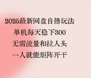2025最新网盘自撸玩法 无需引流拉新单人可矩阵稳获收益-雨叶虚拟资源网