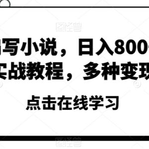 普通人用AI写小说赚钱从0到1实战教程 多种变现方式拆解-雨叶虚拟资源网