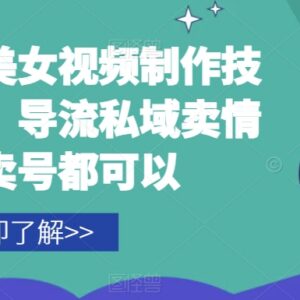 AI美女视频制作实操教程 含配套工具可用于账号起号私域引流-雨叶虚拟资源网