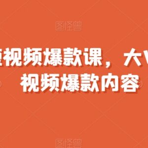 两千万粉丝大V亲授 全领域短视频爆款内容打造系统课程-雨叶虚拟资源网