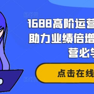 2024版1688高阶运营系统课 店铺运营者业绩提升必修教程-雨叶虚拟资源网