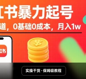 小红书小众赛道0基础起号方法 无成本操作可实现月入过万-雨叶虚拟资源网
