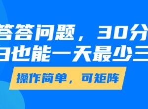 零经验可做答题类副业玩法 每天30分钟单日最低赚三位数-雨叶虚拟资源网