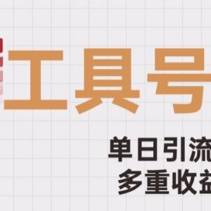 工具号引流破局实操攻略 单日引流500+多模式变现玩法详解-雨叶虚拟资源网