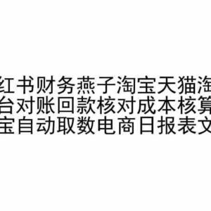淘系电商对账回款成本核算实操教程 含支付宝自动取数方法-雨叶虚拟资源网