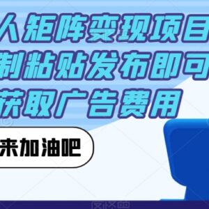 小红书达人矩阵变现全攻略 复制发笔记即可接广告赚收益-雨叶虚拟资源网