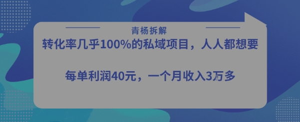 无需出镜高转化私域赚钱项目 单利40-50元适合小白月入过万