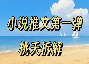 小说推文项目操作全流程详解 0粉低门槛新手友好入门教程-雨叶虚拟资源网