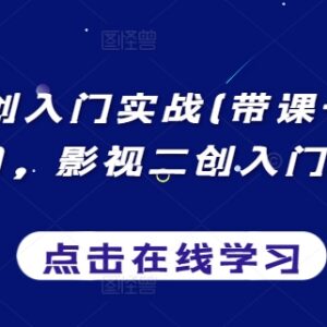 0基础影视二创入门实战课 覆盖起号带课中视频带货全流程-雨叶虚拟资源网