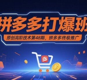 拼多多打爆班第48期高阶教程 终极推广实操玩法全解析-雨叶虚拟资源网