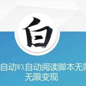 无需代码用AI开发微信自动阅读脚本 美添赚变现玩法揭秘-雨叶虚拟资源网