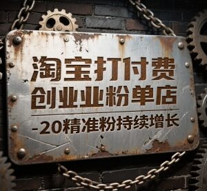 淘宝付费引流创业粉实操教程 单店日均10-20精准粉可稳定放大-雨叶虚拟资源网