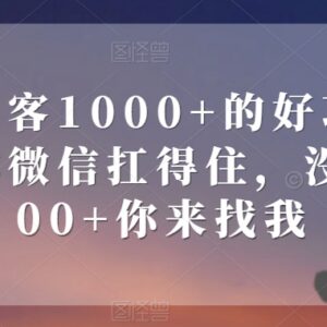 单日获客1000+副业项目揭秘 微信承载达标即可落地操作-雨叶虚拟资源网