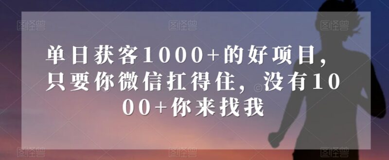 单日获客1000+副业项目揭秘 微信承载达标即可落地操作