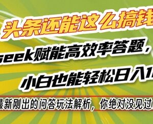 2024今日头条问答赚钱新玩法解析 Deepseek赋能小白高效答题增收-雨叶虚拟资源网