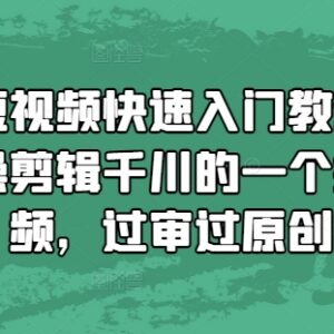 千川投流视频混剪快速入门教程 实操教学助你过审过原创-雨叶虚拟资源网