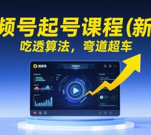 新版视频号起号实战课程 吃透平台算法掌握直播流量运营方法-雨叶虚拟资源网