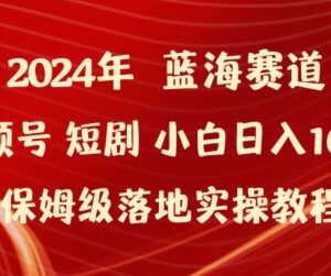 2024年视频号短剧变现新玩法 小白落地实操保姆级教程-雨叶虚拟资源网