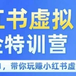 小红书虚拟电商从0到1实操教程 虚拟店铺开店运营全指南-雨叶虚拟资源网