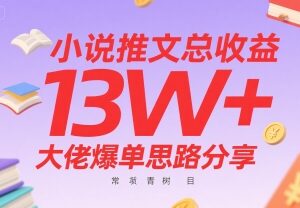 小说推文13W+收益大佬爆单思路分享 常青树项目实操全攻略-雨叶虚拟资源网