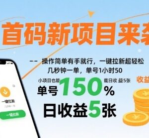 2024最新一键拉新首码项目玩法 单号每小时收益可达50元-雨叶虚拟资源网