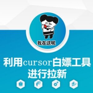 如何利用Cursor白嫖工具做拉新 普通人零成本网创实用技巧-雨叶虚拟资源网