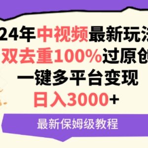 2024年中视频双去重过原创 多平台变现保姆级实操教程-雨叶虚拟资源网