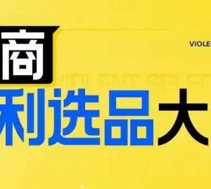 电商选品系统课程 3大核心选品思维助力商家实现利润突破-雨叶虚拟资源网