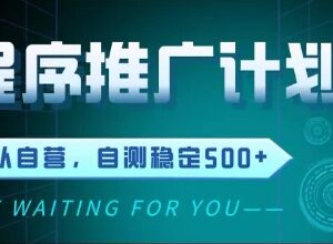 微信小程序挂广告推广玩法 全自动运行被动收益实操介绍-雨叶虚拟资源网