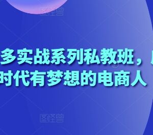 2025拼多多实战系列私教班 电商运营实操技能系统培训-雨叶虚拟资源网