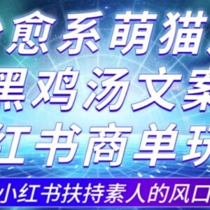 小红书治愈萌猫黑鸡汤商单玩法 3-10天涨千粉变现攻略-雨叶虚拟资源网