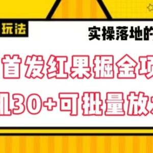 红果免费短剧掘金项目玩法 单机收益30+可批量放大操作详解-雨叶虚拟资源网