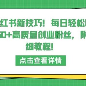 小红书引流高质量创业粉技巧 每日涨50+粉实操教程详解-雨叶虚拟资源网
