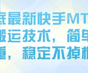 8月底最新快手MT卡模板搬运技术 简单去重稳定不掉框实操方法-雨叶虚拟资源网