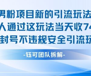 男粉项目最新安全引流玩法 实操当日收益可达7.4k不封号不违规-雨叶虚拟资源网
