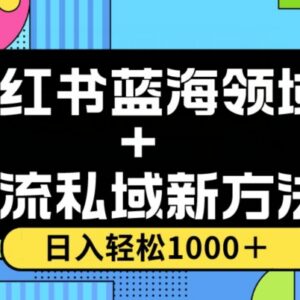 小红书蓝海虚拟赛道私域引流新方法 不限流小白也能轻松实操-雨叶虚拟资源网
