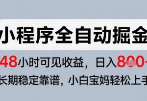 微信小程序全自动掘金项目详解 零基础可做长期稳定副业教程-雨叶虚拟资源网