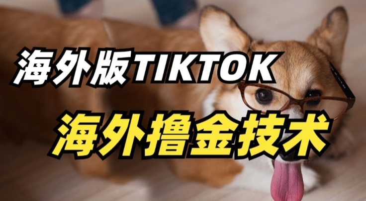 TikTok抖音海外版撸金实操 从注册到开通创作者基金全流程指南
