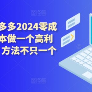 2024拼多多零成本起店攻略 无付费也可做高利润高客单店铺-雨叶虚拟资源网