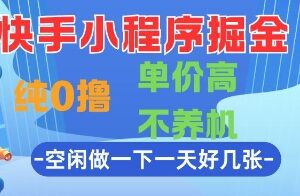 快手小程序0撸赚钱项目详解 无需养机单价高空闲时间可做-雨叶虚拟资源网