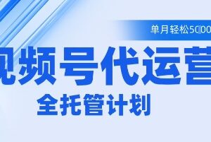 视频号代运营2.0全程托管玩法 零基础可做单月变现5k实操指南-雨叶虚拟资源网
