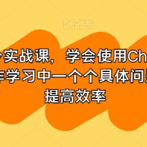 GPT指令实战全套课程 学会ChatGPT使用 高效解决工作学习问题-雨叶虚拟资源网