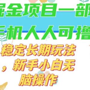 零撸小游戏单机掘金长期稳定玩法 新手可操作日入50-100元教程-雨叶虚拟资源网