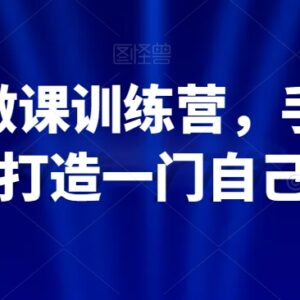 知识IP30天做课训练营 手把手教你打造可变现的个人付费课程-雨叶虚拟资源网