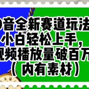 抖音全新低门槛赛道玩法 零基础小白轻松打造百万播放短视频-雨叶虚拟资源网