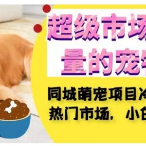 同城萌宠中介实操全攻略 小白低成本冷门玩法轻松月入600+-雨叶虚拟资源网